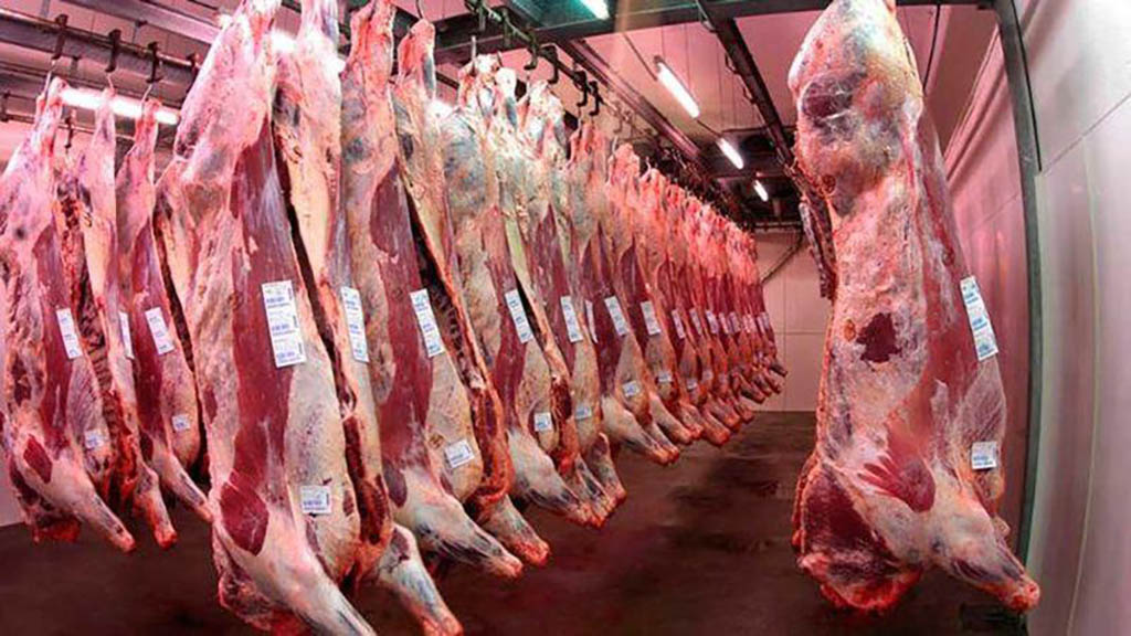 Afirman que por las restricciones, se perdieron exportaciones por más de 70 mil toneladas de carne bovina