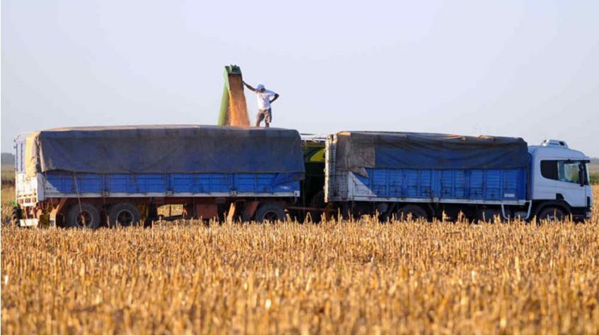 Anuncian un paro de transporte de granos desde el lunes