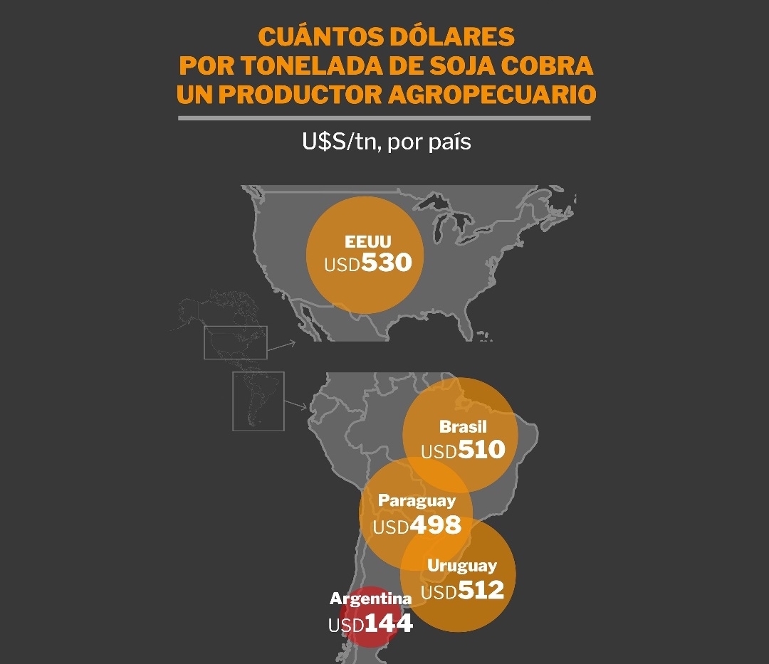 Cuántos dólares recibe un productor en Argentina, Uruguay, Brasil, Paraguay y Estados Unidos por cada tonelada de soja que vende