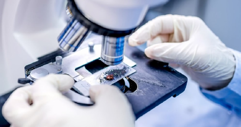 Bioquímicos advierten sobre una «situación terminal» de los laboratorios