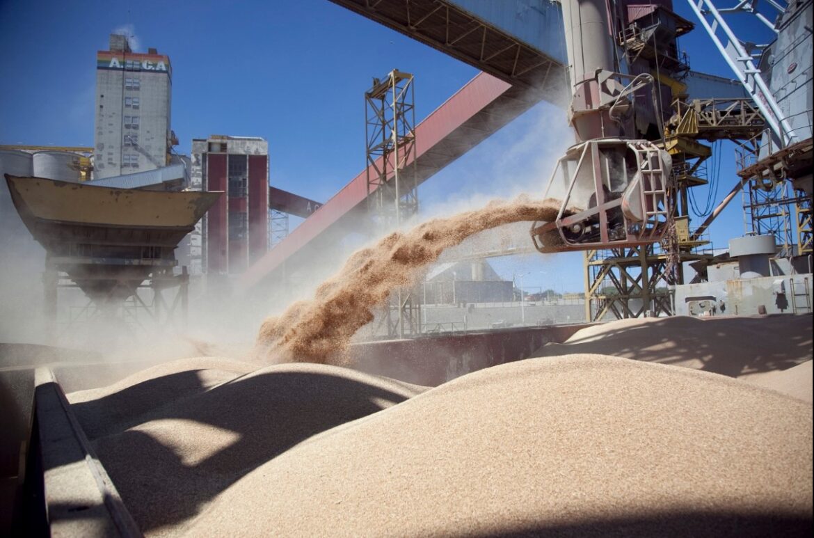 Productores de soja acumulan 11,7 millones de toneladas vendidas