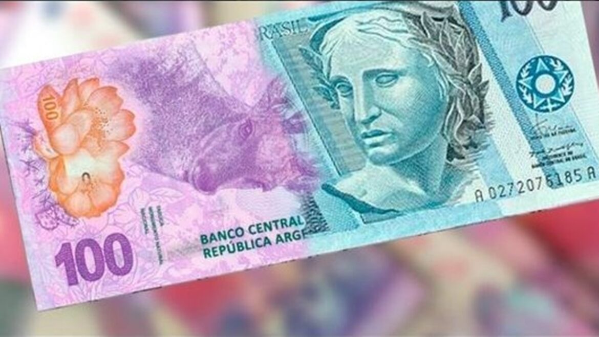Fuerte escepticismo ante la idea de una moneda con Brasil